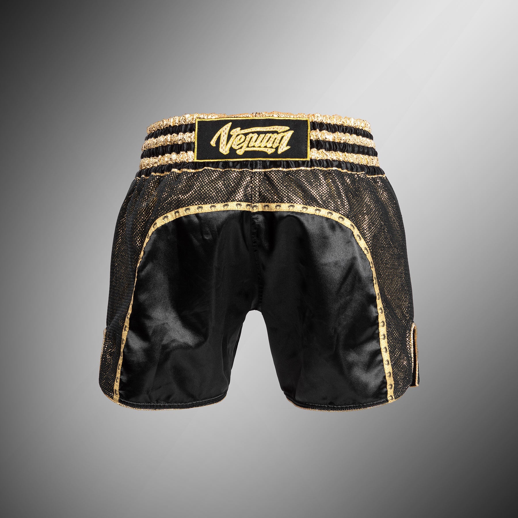 Short de Muay Thai Absolute 2.0 Venum - Noir/Or